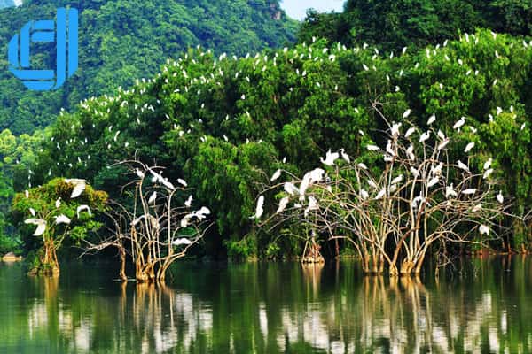 những điểm nào nên tham quan khi đến cà mau